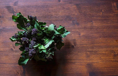 Prebiotics: Where to find them in food and how a supplement can further help